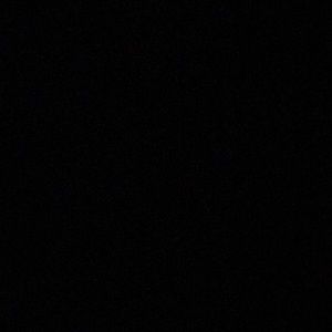 Meet your Posher, Vince-leo